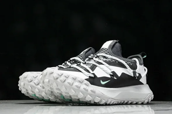 Nike ACG Mountain Fly Low GTX SE D09334 100 