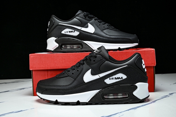 Nike Air Max 90 CD6864-029 