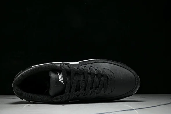 Nike Air Max 90 CD6864-029 